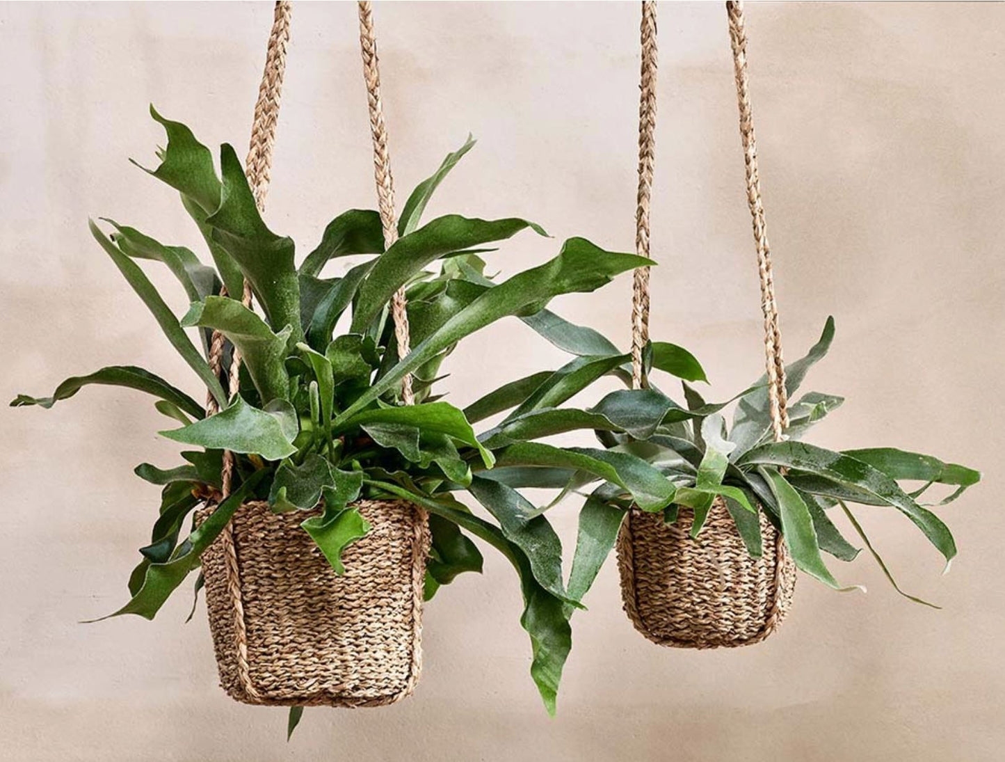 The Little Bunny Nook